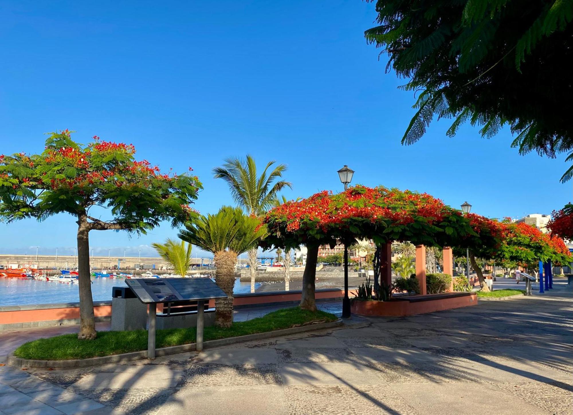 Casa Antonio - Apartamento Sol Playa de San Juan  Luaran gambar